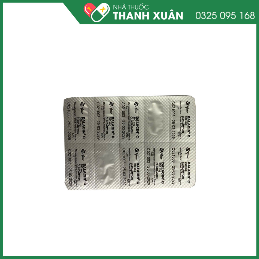 Dalacin C 300mg thuốc kháng sinh điều trị nhiễm khuẩn